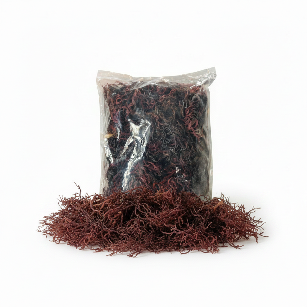 Wildcrafted Sea Moss 1LB Bag - Clean White Background